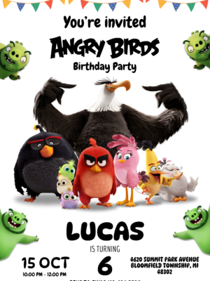 Angry Birds Birthday Invitation